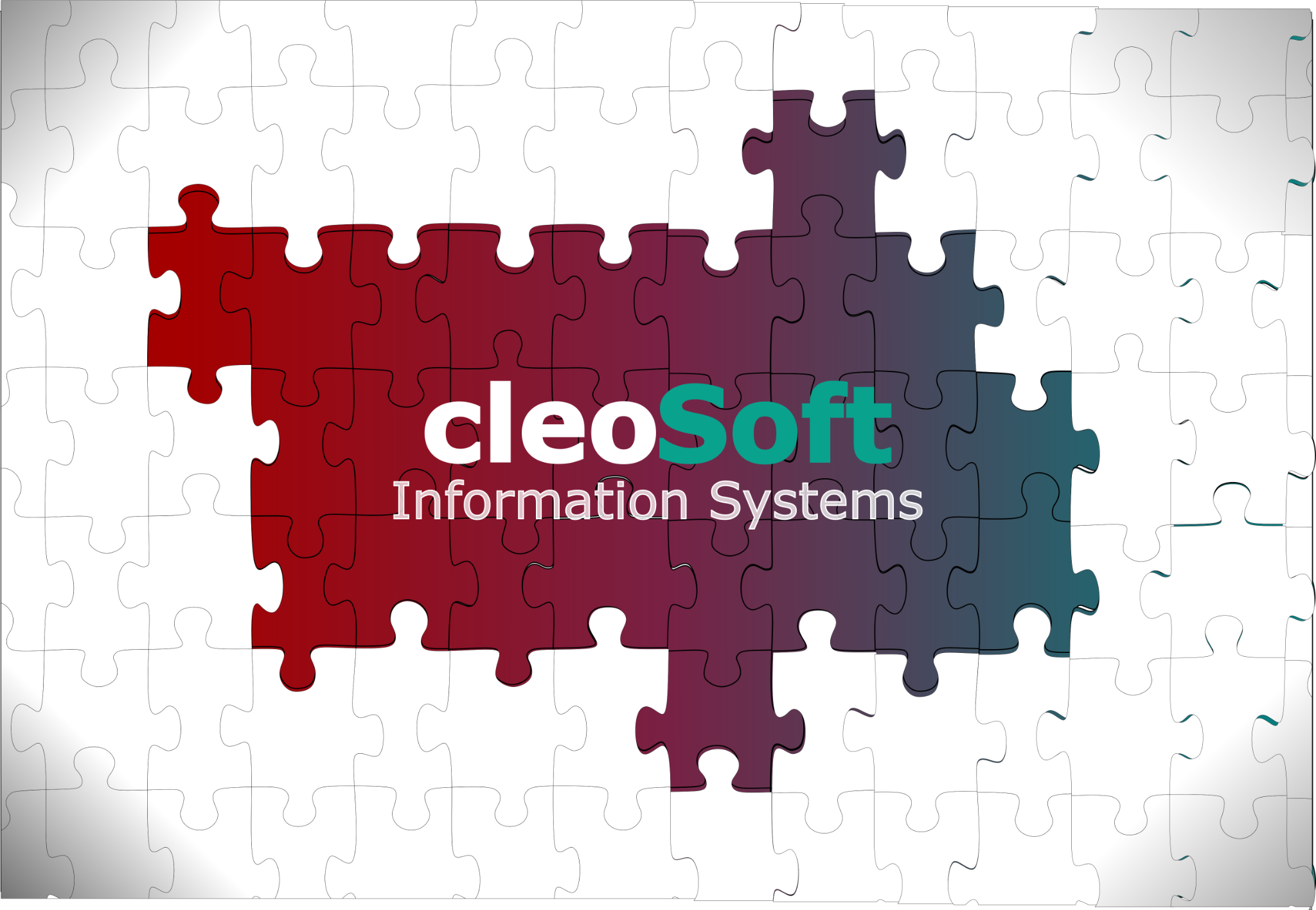 CleoSoft Information Systems logo
